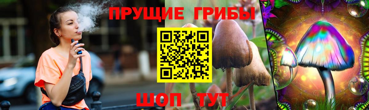 Псилоцибиновые грибы мицелий Нефтекумск